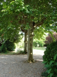 annonces immobiliere aquitaine